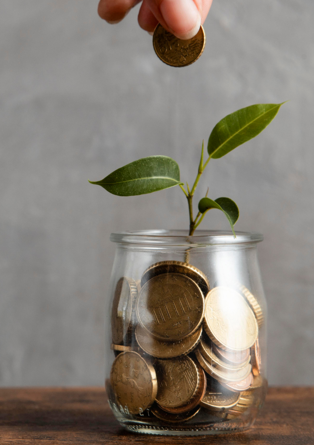 front-view-hand-adding-coin-jar-with-plant-other-coins 1