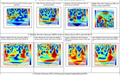 10663_2026_9673_Fig1a_HTML